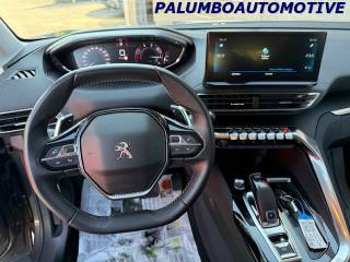 PEUGEOT 3008 usata, con Servosterzo