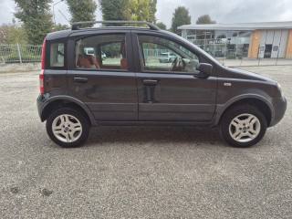 FIAT Panda usata 7