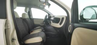FIAT Panda usata, con Sensori di parcheggio posteriori