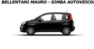 FIAT Panda usata, con Airbag Passeggero