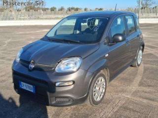 FIAT Panda usata, con Airbag
