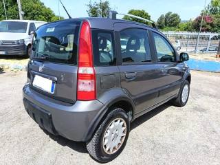FIAT Panda usata 6
