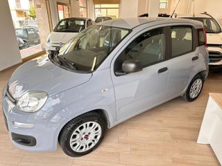 FIAT Panda usata, con Airbag Passeggero