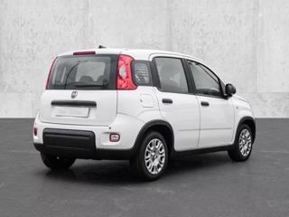 FIAT Panda usata, con Airbag