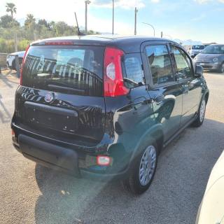FIAT Panda usata, con Antifurto