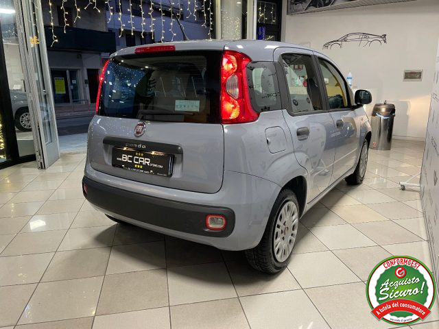 FIAT Panda usata 21