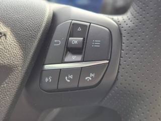 FORD Puma usata, con Controllo trazione
