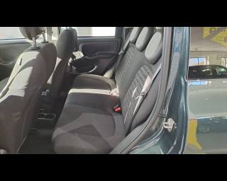 FIAT Pandina Cross usata 24