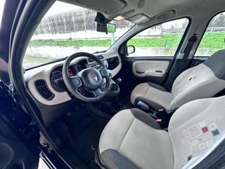 FIAT Panda usata 37