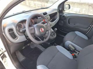 FIAT Panda usata, con Controllo trazione