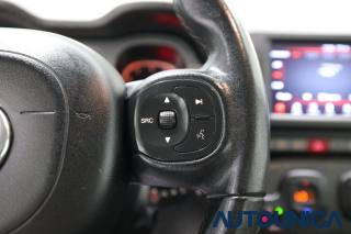 FIAT Panda usata, con Volante multifunzione