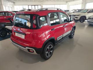 FIAT Panda Cross usata, con Alzacristalli elettrici