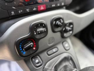 FIAT Panda usata 18