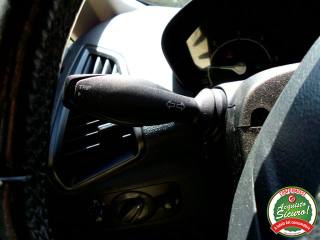 FORD EcoSport usata, con Bracciolo