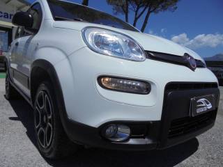 FIAT Panda usata 19