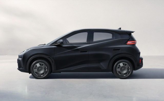 BYD Dolphin Surf usata, con Controllo trazione