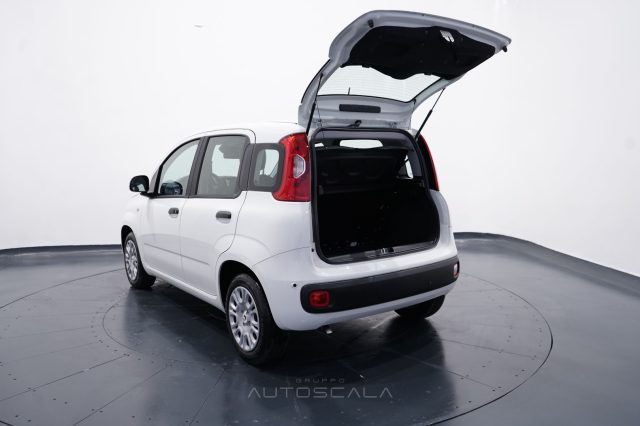 FIAT New Panda usata 26