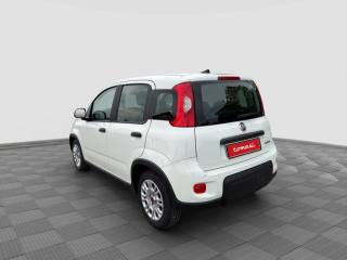 FIAT Panda usata 2