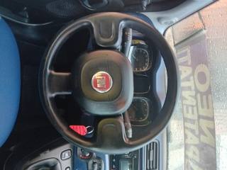 FIAT Panda usata 15