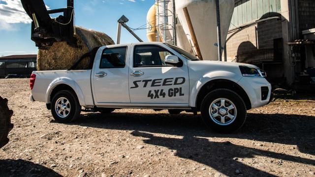 GREAT WALL Steed usata, con ABS