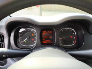 FIAT Panda usata 14