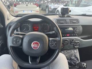 FIAT Panda usata 9
