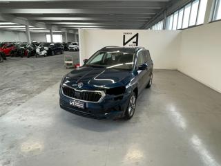SKODA Karoq usata, con Autoradio