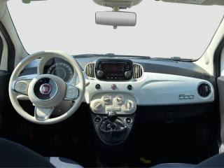 FIAT 500 usata 11