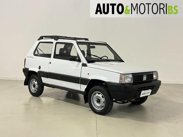 FIAT Panda usata, con Trazione integrale