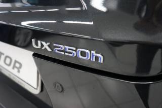 LEXUS UX 250h usata 25