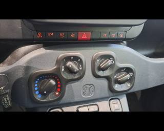 FIAT New Panda usata, con Specchietti laterali elettrici