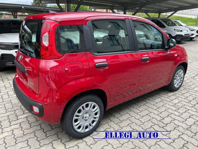 FIAT Panda usata, con Climatizzatore