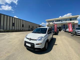 FIAT Panda usata 16