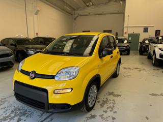 FIAT Pandina 1.0 FireFly S&S Hybrid KM.0