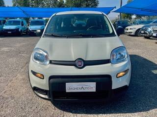 FIAT Panda usata 20