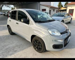 FIAT Panda usata, con Airbag Passeggero