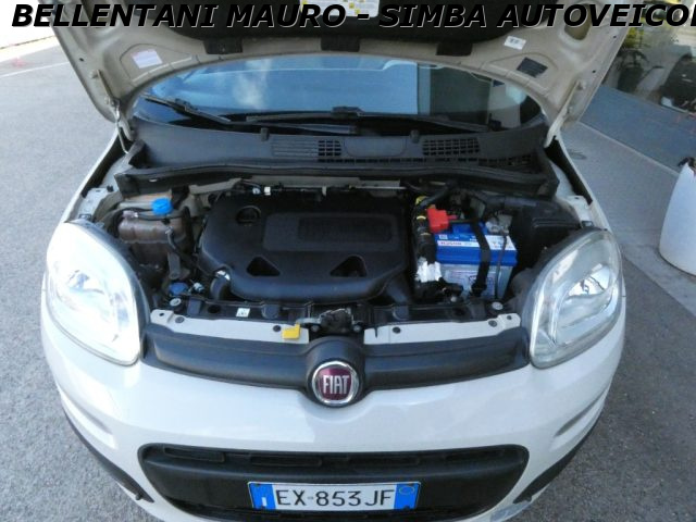 FIAT Panda usata 13