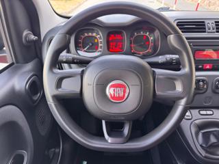 FIAT Panda usata 13
