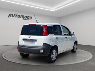 FIAT Panda usata, con Airbag Passeggero
