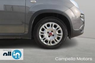 FIAT Panda usata 15