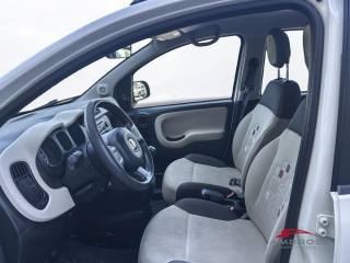FIAT Panda usata 8