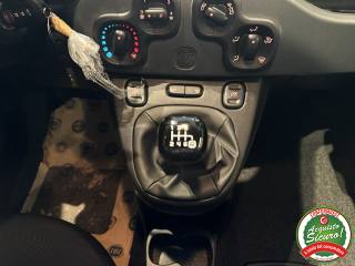 FIAT Panda usata, con Servosterzo