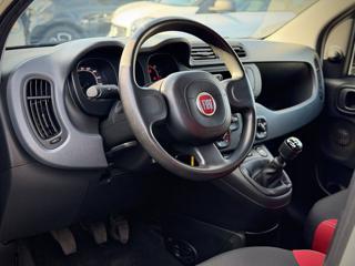 FIAT Panda usata 12