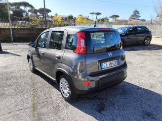 FIAT Panda usata 2
