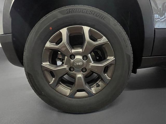 JEEP Avenger usata, con Boardcomputer