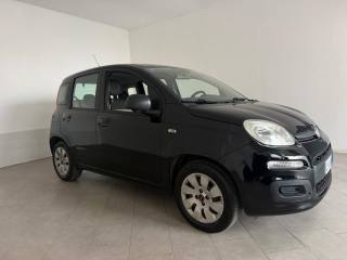 FIAT Panda usata 14