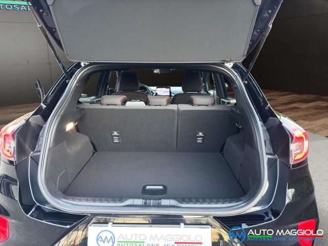 FORD Puma usata, con Fendinebbia
