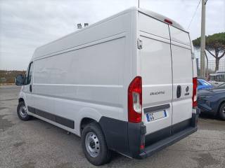 FIAT Ducato usata, con Servosterzo