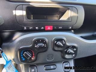 FIAT Panda usata 12