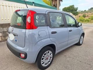 FIAT Panda usata, con Airbag Passeggero